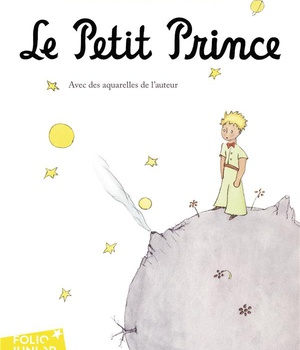 LE PETIT PRINCE