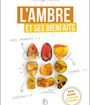 L'AMBRE ET SES BIENFAITS