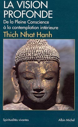 SPIRITUALITES VIVANTES POCHE - T131 - LA VISION PROFONDE (ESPACES LIBRES - SPIRITUALITES VIVANTES)