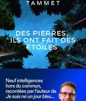 DES PIERRES, ILS ONT FAIT DES ETOILES