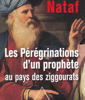 LES PEREGRINATIONS D'UN PROPHETE AU PAYS DES ZIGGOURATS