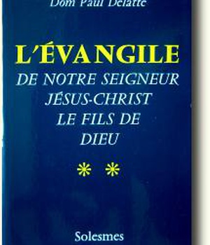 L'EVANGILE DE NOTRE SEIGNEUR JESUS-CHRIST - TOME 2