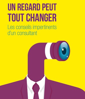 UN REGARD PEUT TOUT CHANGER - LES CONSEILS IMPERTINENTS DUN CONSULTANT