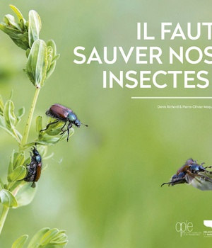 IL FAUT SAUVER NOS INSECTES