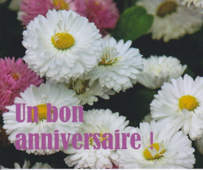 MP111 - UN BON ANNIVERSAIRE !