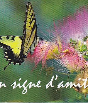 MP136 - EN SIGNE D'AMITIE