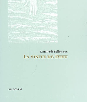 LA VISITE DE DIEU - ESSAI SUR LES MISSIONS DES PERSONNES DIVINES SELON SAINT THOMAS D'AQUIN