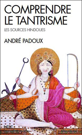COMPRENDRE LE TANTRISME (ESPACES LIBRES - SPIRITUALITES VIVANTES)