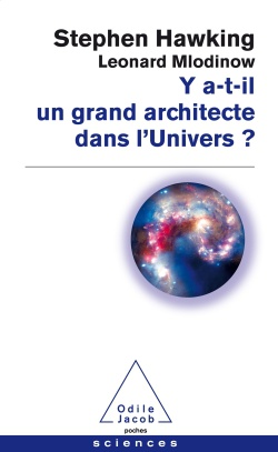 Y A T - IL UN GRAND ARCHITECTE DANS L'UNIVERS?