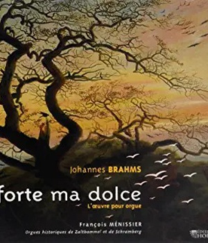 FORTE MA DOLCE - CD