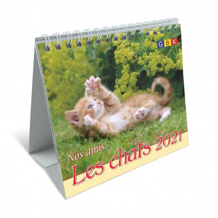 NOS AMIS LES CHATS PF - CALENDRIER 2021 NDSP