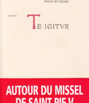 TE IGITUR