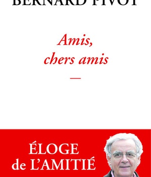 AMIS, CHERS AMIS