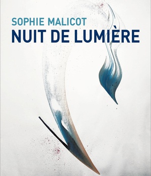 NUIT DE LUMIERE