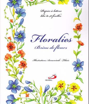 PAPIER A LETTRES FLORALIES BRINS BPL14