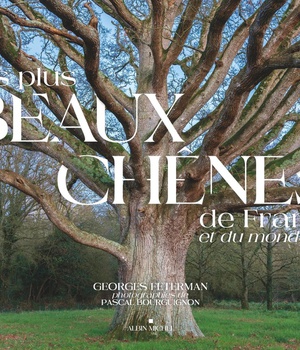 LES PLUS BEAUX CHENES DE FRANCE ET DU MONDE