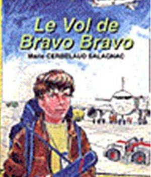 LE VOL DE BRAVO BRAVO - DEFI N 15