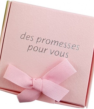 COFFRET 60 VERSETS BIBLIQUES BOITE ROSE PROMESSES POUR VOUS NDSP