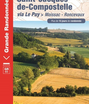 SAINT JACQUES MOISSAC-RONCEVAUX 2017-82-32-40-64-GR-653