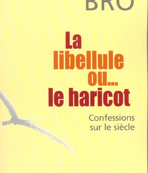 LA LIBELLULE OU...LE HARICOT