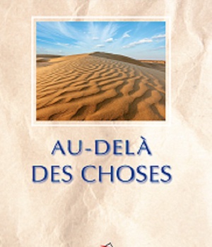 AU DELA DES CHOSES