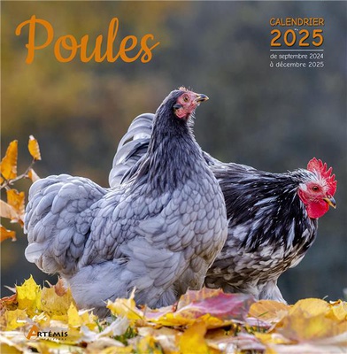 CALENDRIER POULES 2025