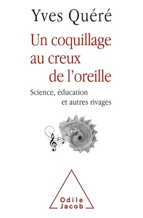 UN COQUILLAGE AU CREUX DE L'OREILLE