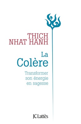 LA COLERE - NOUVELLE EDITION - TRANSFORMER SON ENERGIE EN SAGESSE