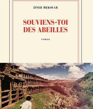 SOUVIENS-TOI DES ABEILLES