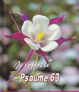 JE T'OFFRE LE PSAUME 63