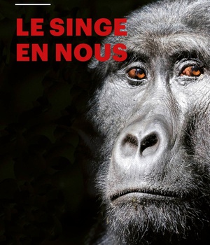 LE SINGE EN NOUS