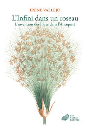 L'INFINI DANS UN ROSEAU - L'INVENTION DES LIVRES DANS L'ANTIQUITE