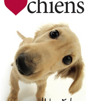 CHIENS NED