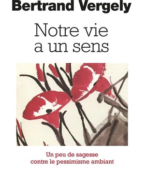 NOTRE VIE A UN SENS - UN PEU DE SAGESSE CONTRE LE PESSIMISME AMBIANT