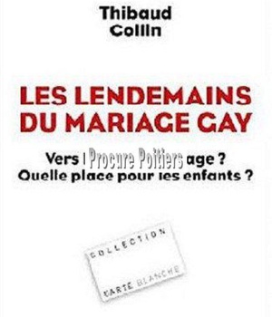 LES LENDEMAINS DU MARIAGE GAY - VERS LA FIN DU MARIAGE ? QUELLE PLACE POUR LES ENFANTS ?