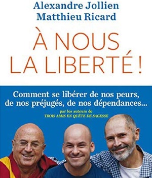 A NOUS LA LIBERTE - COMMENT SE LIBERER DE NOS PEURS, NOS PREJUGES, NOS DEPENDANCES ...