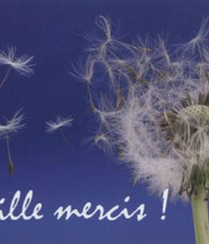 MILLE MERCIS MINI PERLES
