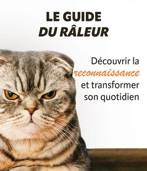 LE GUIDE DU RALEUR - DECOUVRIR LA RECONNAISSANCE ET TRANSFORMER SON QUOTIDIEN