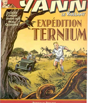 LES AVENTURES DE YANN LE VAILL - T08 - EXPEDITION TERNIUM