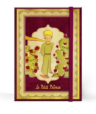 CARNET COUVERTURE RIGIDE - PETIT FORMAT - LPP - 100X140MM