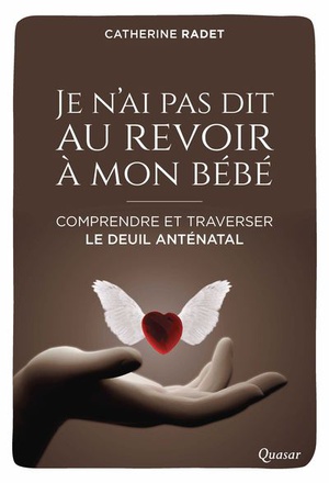 JE N'AI PAS DIT AU REVOIR A MON BEBE - COMPRENDRE ET TRAVERSER LE DEUIL ANTENATAL
