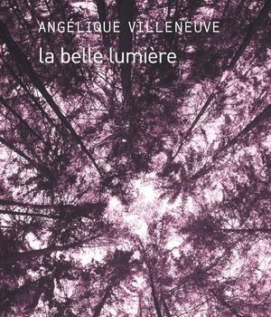 LA BELLE LUMIERE