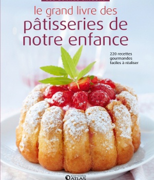 LE GRAND LIVRE DES PATISSERIES DE NOTRE ENFANCE - 220 RECETTES FACILES ET GOURMANDES