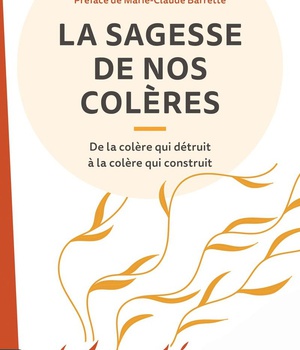 LA SAGESSE DE NOS COLERES - DE LA COLERE QUI DETRUIT A LA COLERE QUI CONSTRUIT