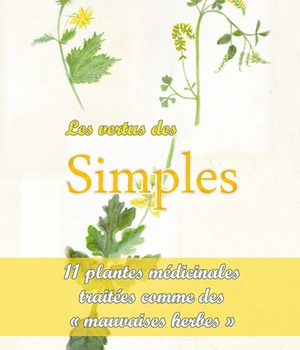 LES VERTUS DES SIMPLES - 11 PLANTES MEDICINALES TRAITEES COMME DE MAUVAISES HERBES