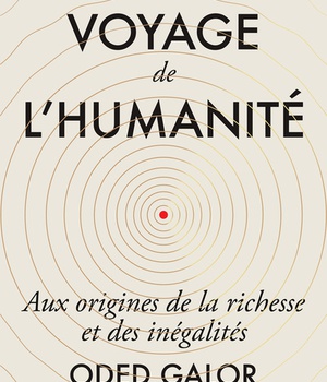 LE VOYAGE DE L'HUMANITE - AUX ORIGINES DE LA RICHESSE ET DES INEGALITES
