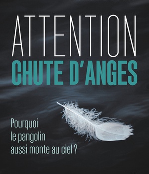 ATTENTION CHUTE D'ANGES - POURQUOI LE PANGOLIN AUSSI MONTE AU CIEL ?
