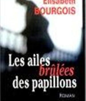 LES AILES BRULEES DES PAPILLONS