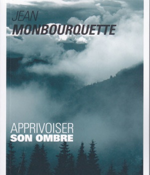 APPRIVOISER SON OMBRE - (2011)