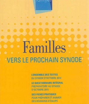 VERS LE PROCHAIN SYNODE